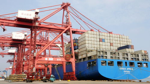 破局立新 中国在技术进出口领域提出的国际贸易新主张